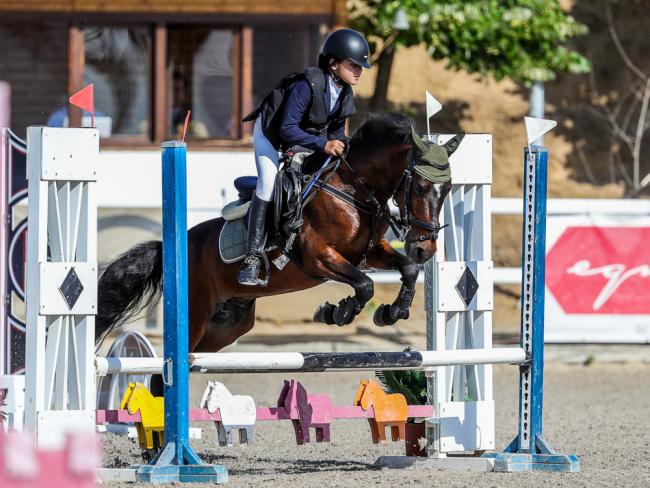 Campeonato de España de Ponis por equipos  