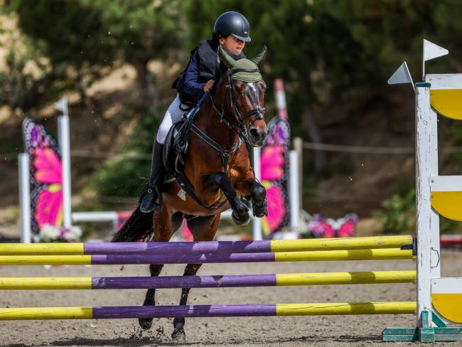 Campeonato de España de Ponis por equipos  