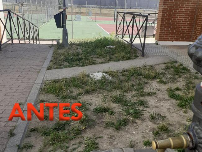 7ª fase del Plan de Adecuación y Mejora de Instalaciones Deportivas - Rampa acceso pistas de tenis CD Joaquín Blume