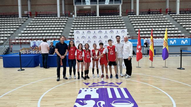 Voleibol Alevin Torrejón A M4 