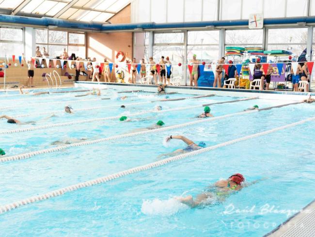 La piscina cubierta del Complejo Deportivo Juan Antonio Samaranch acogió la primera edición “100x100 Desafío Swim Ciudad Torrejón de Ardoz”