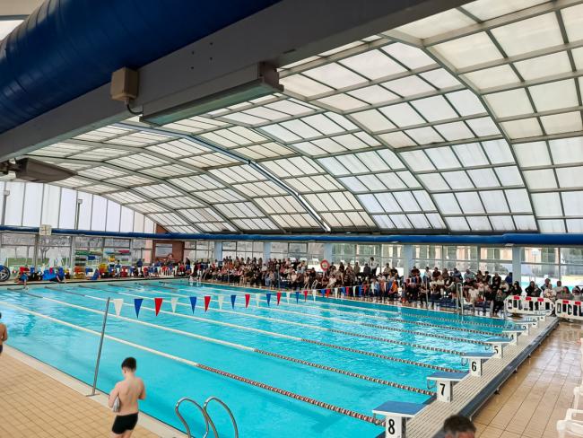 La competición tuvo lugar en la piscina cubierta del CD Juan Antonio Samaranch